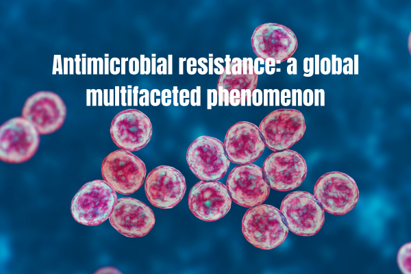 Everything You Need To Know About Drake: The Multifaceted Phenomenon of a Global Star